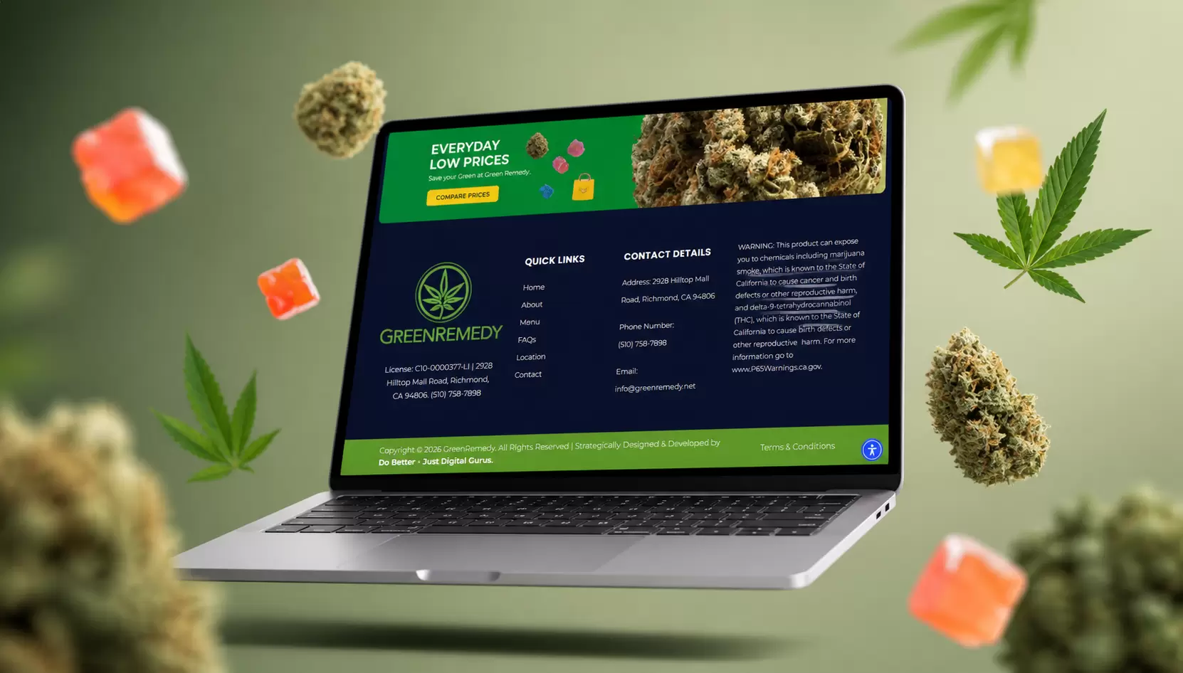 Green Remedy Case Study | Just Digital Gurus