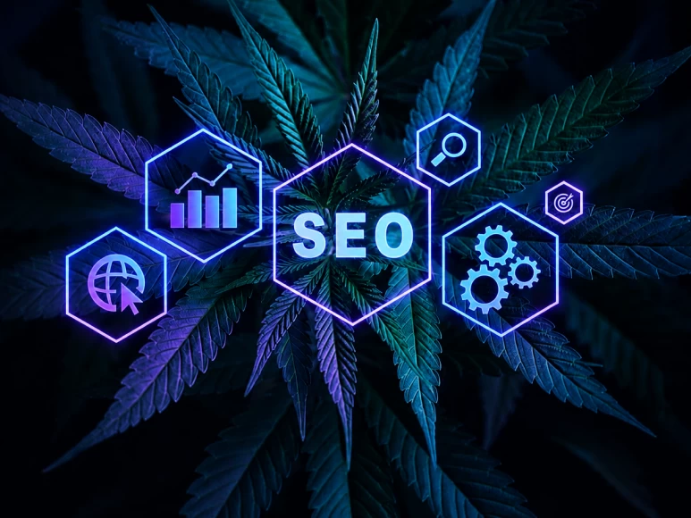Cannabis SEO services for dispensaries and CBD brands