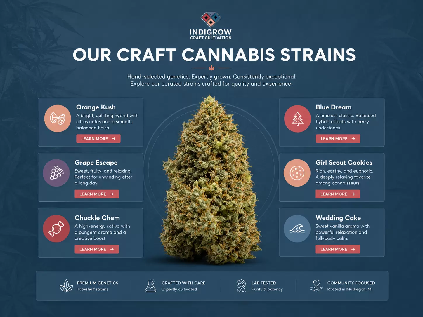IndiGrow - Muskegon Craft Cannabis Website - Image 2